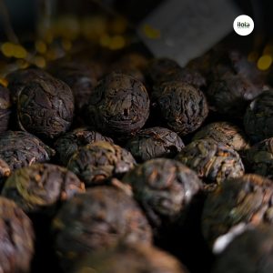 he-vi-sinh-vat-tra-pho-nhi