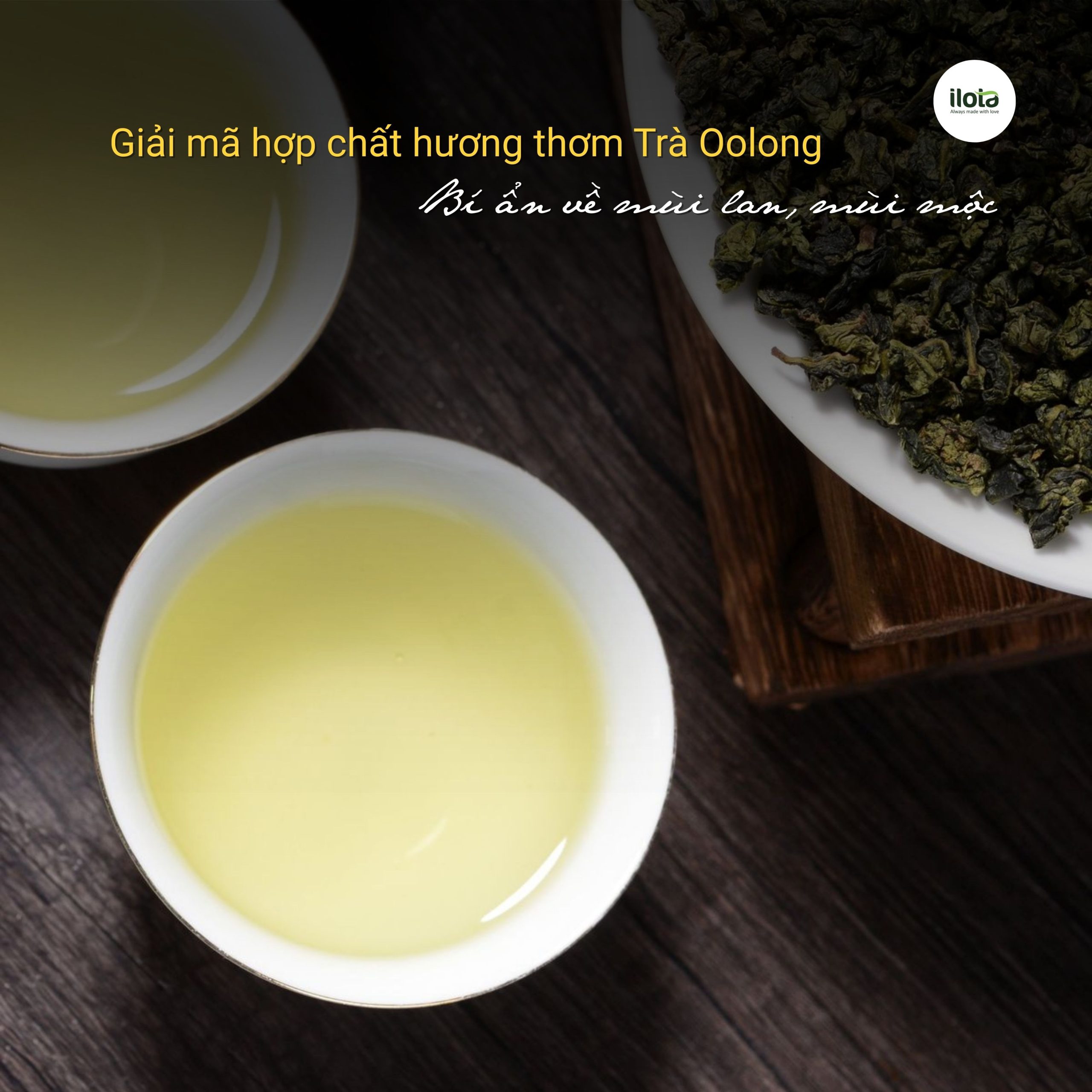 huong-thom-tra-oolong