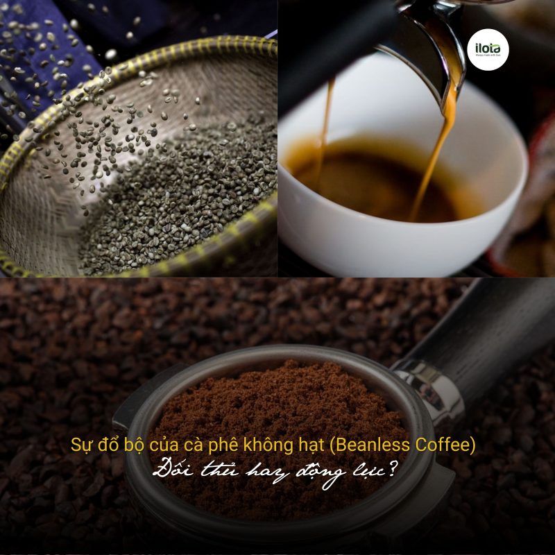 ca-phe-khong-hat