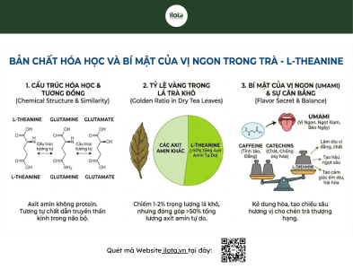 l-theanine-trong-tra