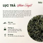 luc-tra-shan-tuyet-pha-che