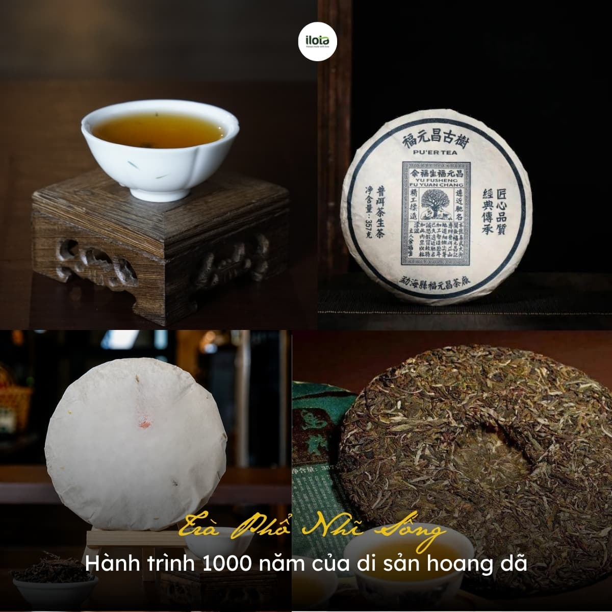 huong-dan-pha-tra-pho-nhi-song
