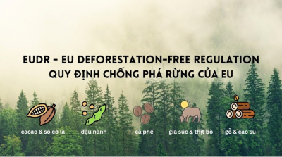 quy-dinh-eudr-la-gi-tieu-chuan-ca-phe-sach