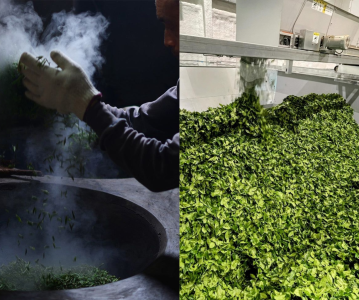 phương pháp sao chảo và phương pháp hấp matcha