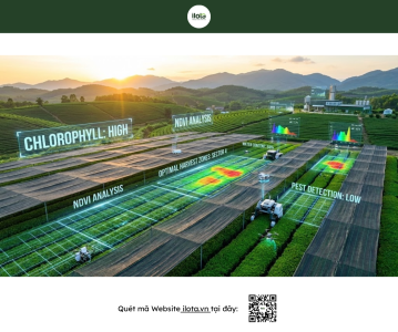 công nghệ mô phỏng matcha Việt Nam