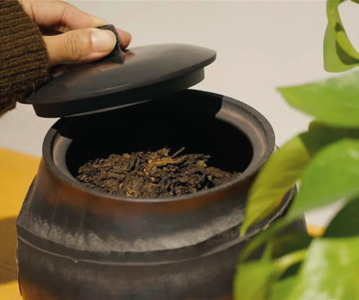 danh-thuc-tra-bi-mat-tinh-tra-cho-tra-banh-ngon