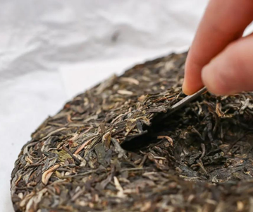 danh-thuc-tra-bi-mat-tinh-tra-cho-tra-banh-ngon