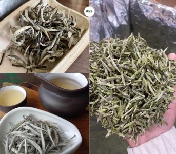 cach-pha-bach-tra-shan-tuyet