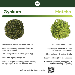 gyokuro-hat-ngoc-suong-tra-xanh-nghe-thuat-phu-bong