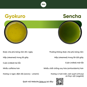 gyokuro-hat-ngoc-suong-tra-xanh-nghe-thuat-phu-bong