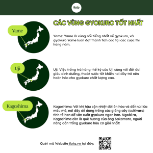 gyokuro-hat-ngoc-suong-tra-xanh-nghe-thuat-phu-bong