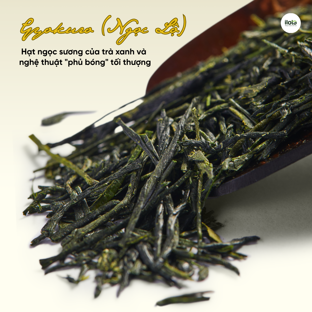 gyokuro-hat-ngoc-suong-tra-xanh-nghe-thuat-phu-bong