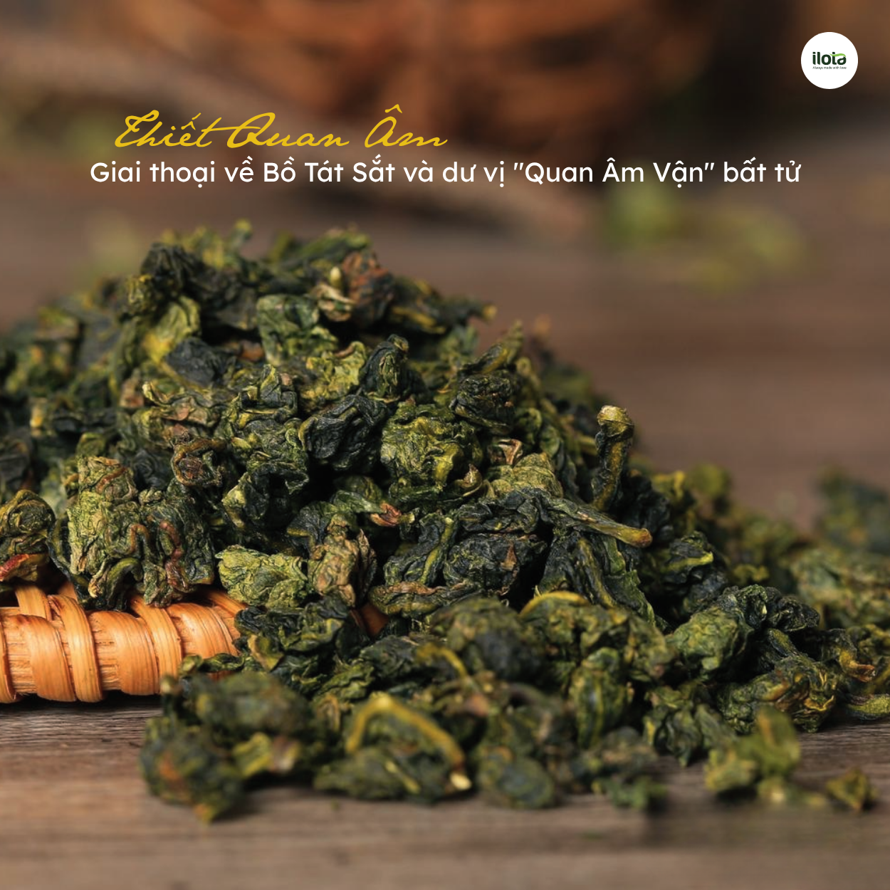 thiet-quan-am-bo-tat-sat-va-du-vi-quan-am-van-bat-tu