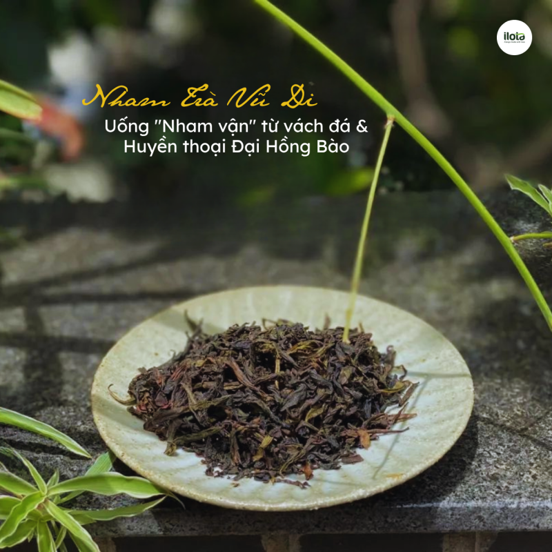 nham-tra-vu-di-nham-van-tu-vach-da-dai-hong-bao