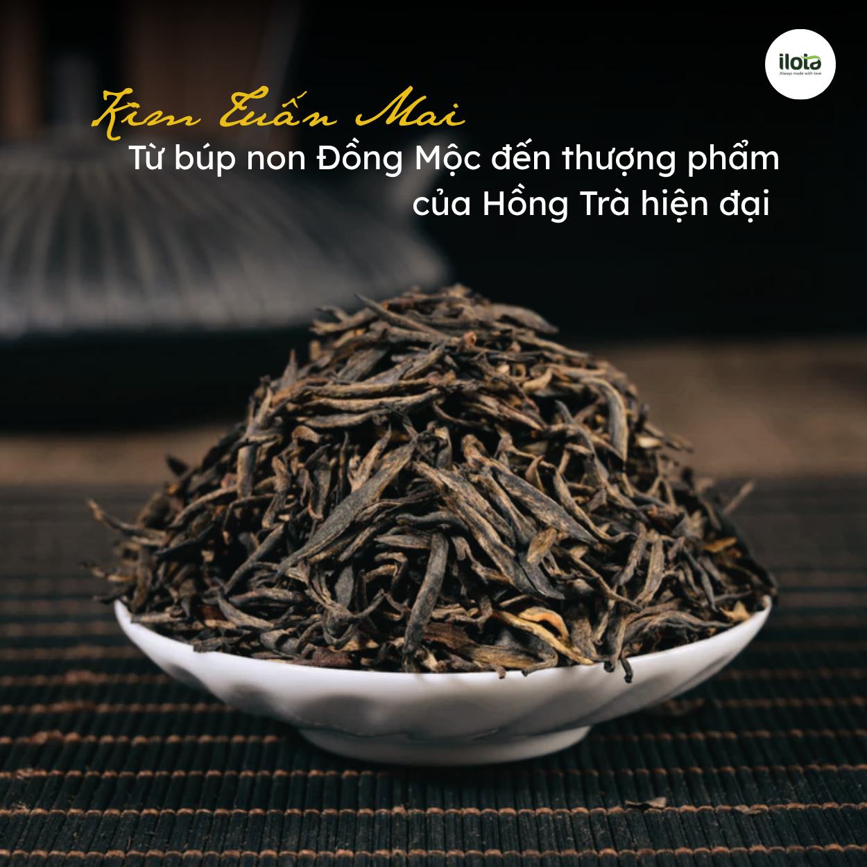 kim-tuan-mai-tu-bup-non-den-thuong-pham-hong-tra