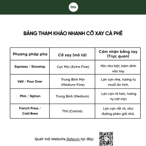 5-buoc-pha-v60-tai-nha-cho-huong-vi-chuan-specialty