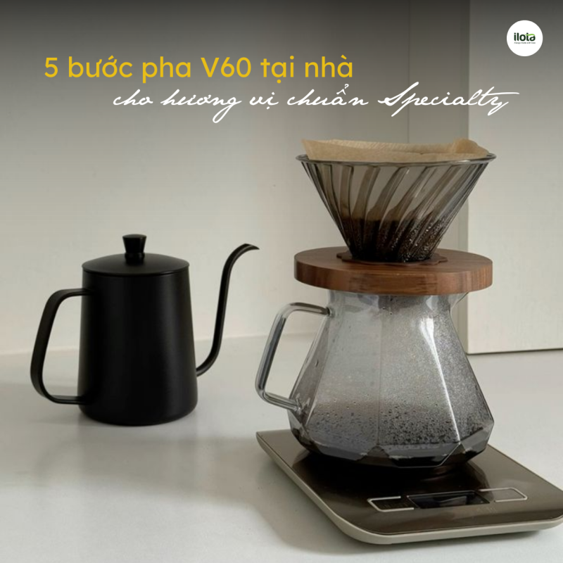 5-buoc-pha-v60-tai-nha-cho-huong-vi-chuan-specialty