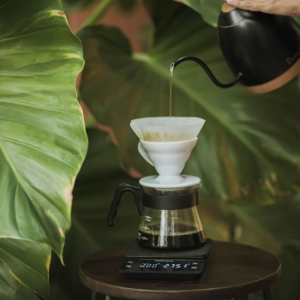 5-buoc-pha-v60-tai-nha-cho-huong-vi-chuan-specialty