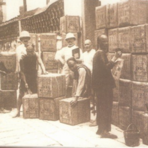 ky-mon-hong-tra-nu-hoang-hong-tra-anh-hung-thao-moc