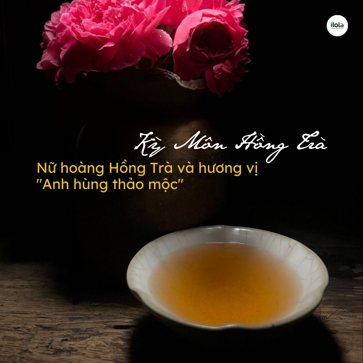 ky-mon-hong-tra-nu-hoang-hong-tra-anh-hung-thao-moc