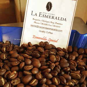 Gesha-huyen-thoai-an-sau-ca-phe-dat-nhat-hanh-tinh