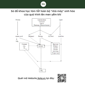 khoa-hoc-len-men-gia-kim-thuat-lam-thay-doi-the-gioi