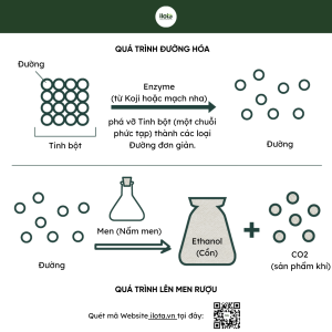 khoa-hoc-len-men-gia-kim-thuat-lam-thay-doi-the-gioi