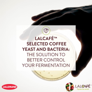 khoa-hoc-len-men-gia-kim-thuat-lam-thay-doi-the-gioi