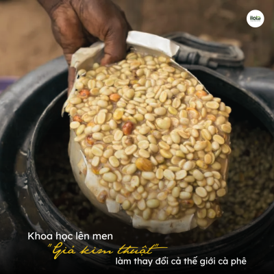 khoa-hoc-len-men-gia-kim-thuat-lam-thay-doi-the-gioi