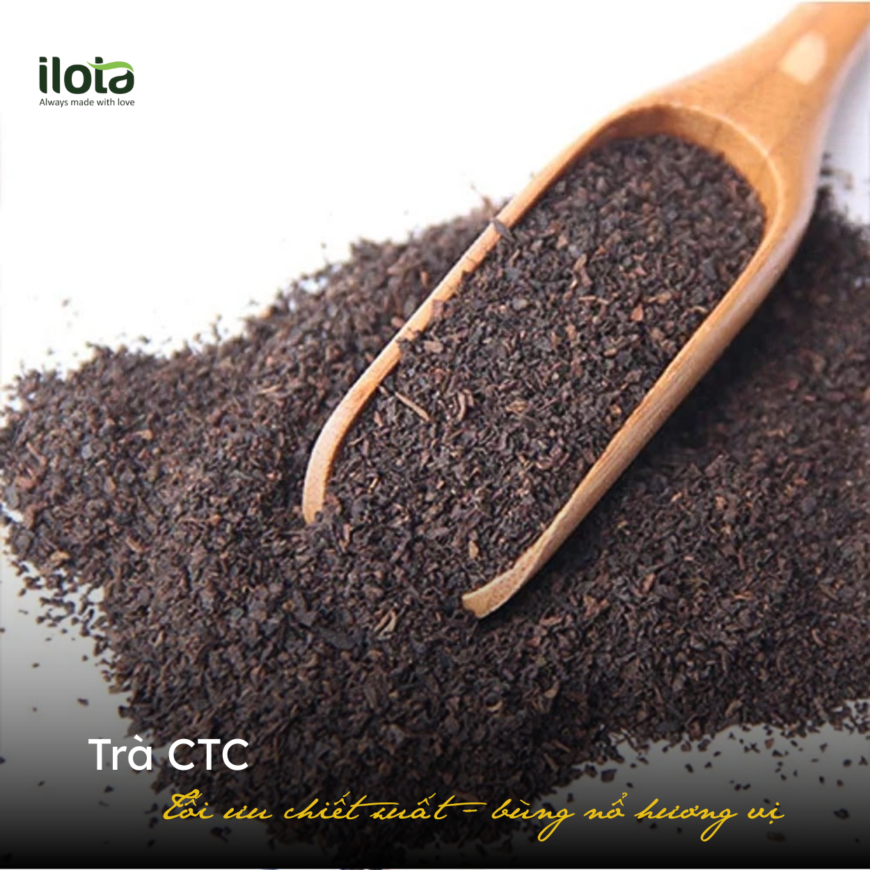 tra-ctc-toi-uu-chiet-xuat-bung-no-huong-vi