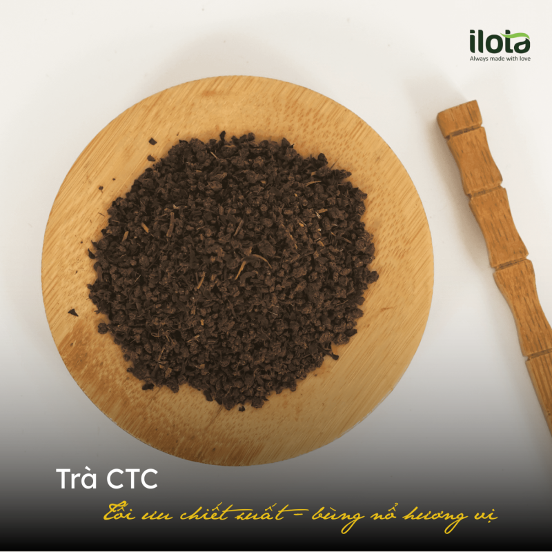 tra-ctc-toi-uu-chiet-xuat-bung-no-huong-vi