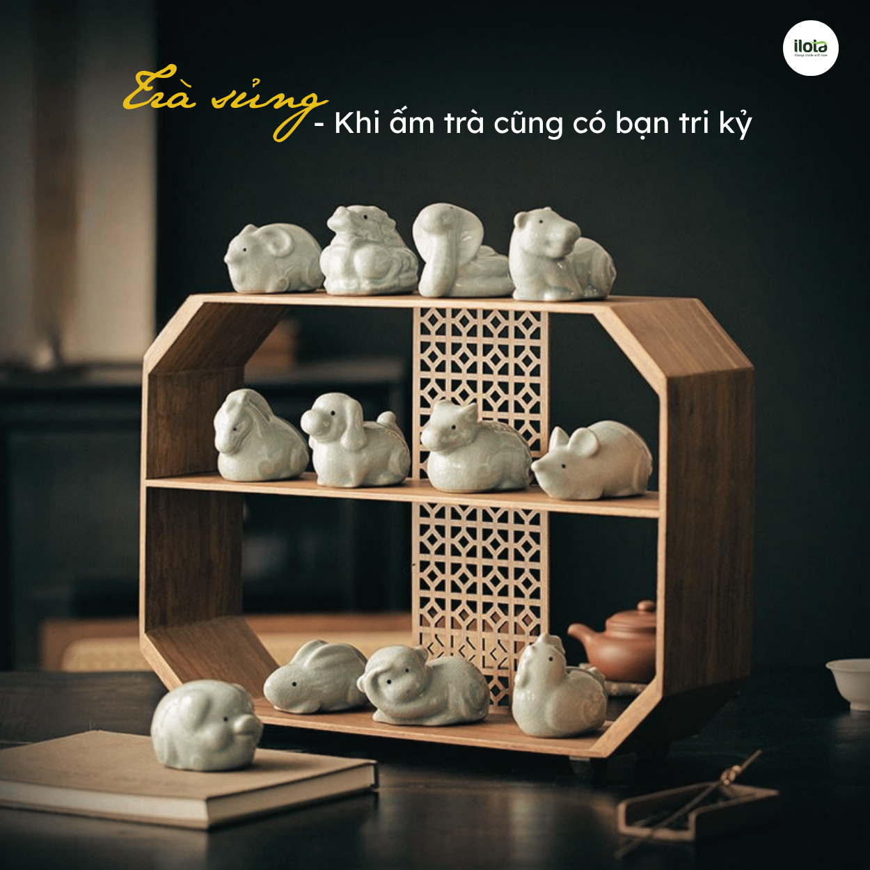 Tra-sung-khi-am-tra-cung-co-ban-tri-ky