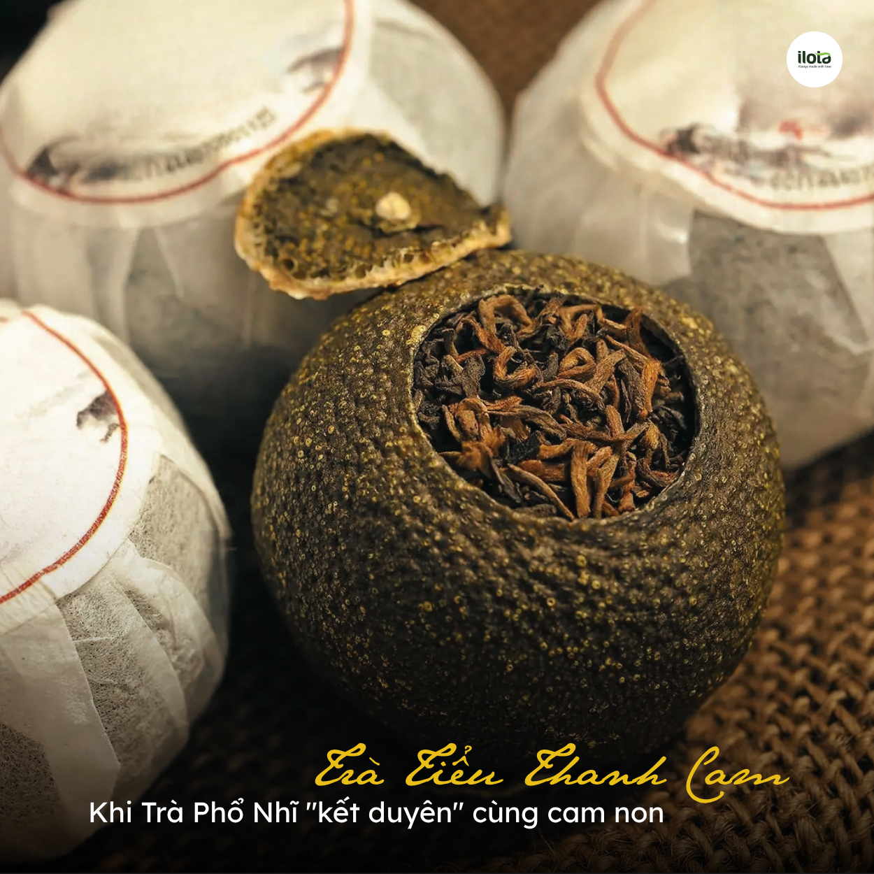 tra-tieu-thanh-cam-tra-pho-nhi-ket-duyen-cung-cam