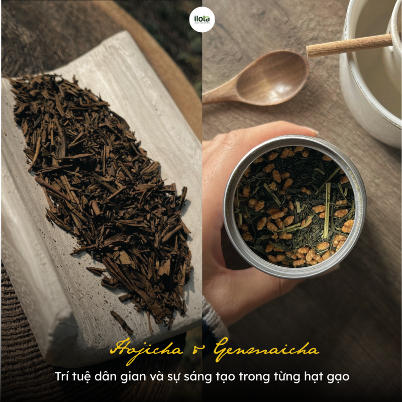 hojicha-genmaicha-su-sang-tao-trong-tung-hat-gao
