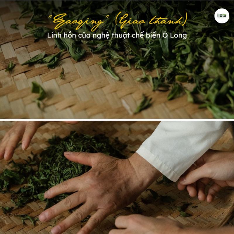 yaoqing-giao-thanh-linh-hon-cua-che-bien-o-long