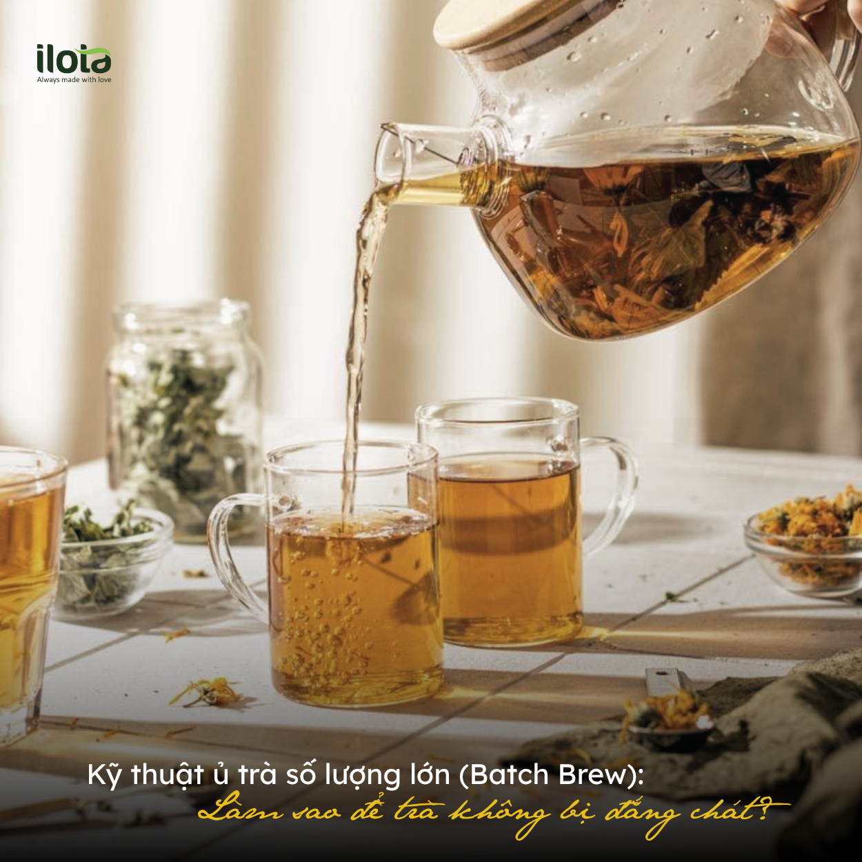 ky-thuat-u-tra-so-luong-lon-batch-brew