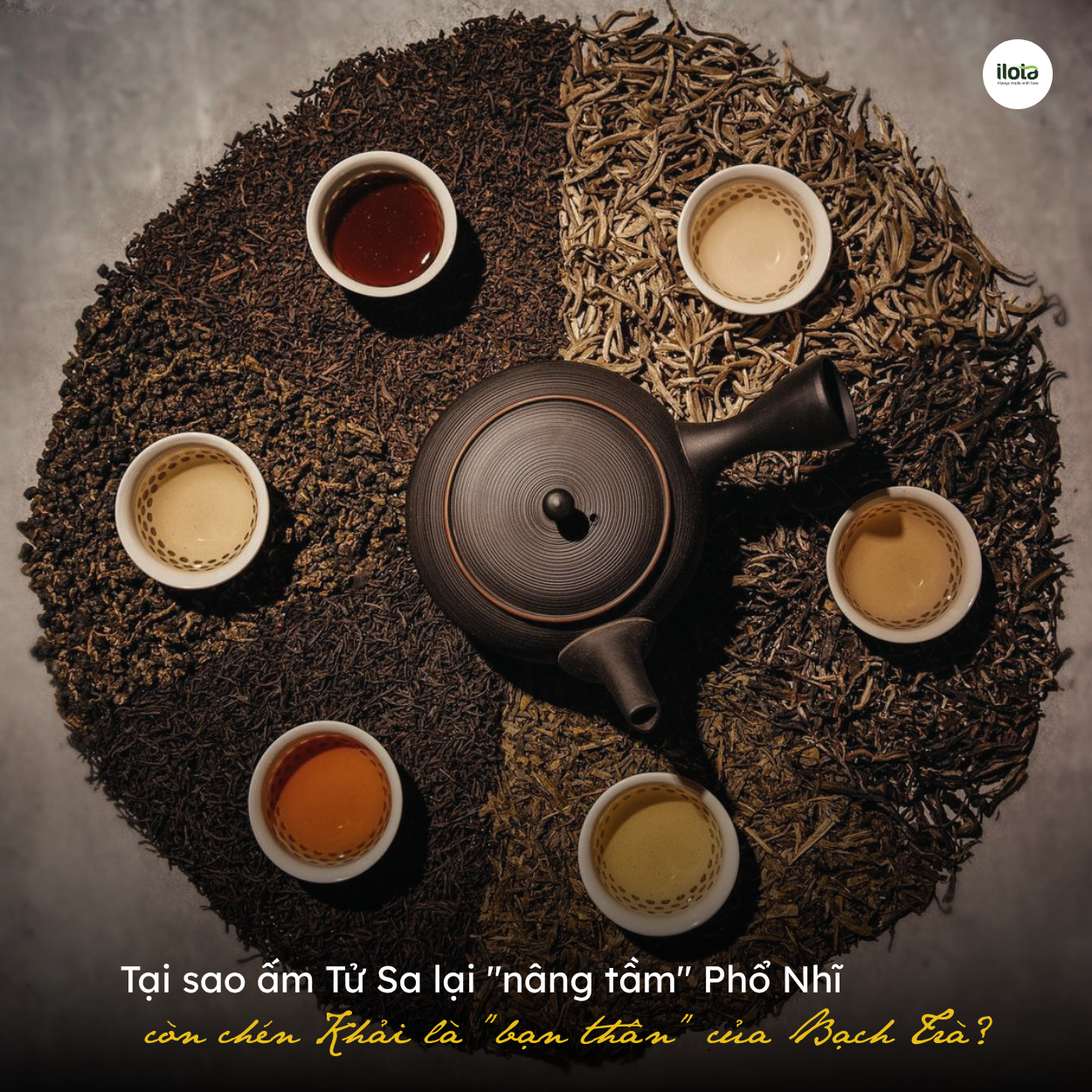 tai-sao-am-tu-sa-lai-nang-tam-pho-nhi