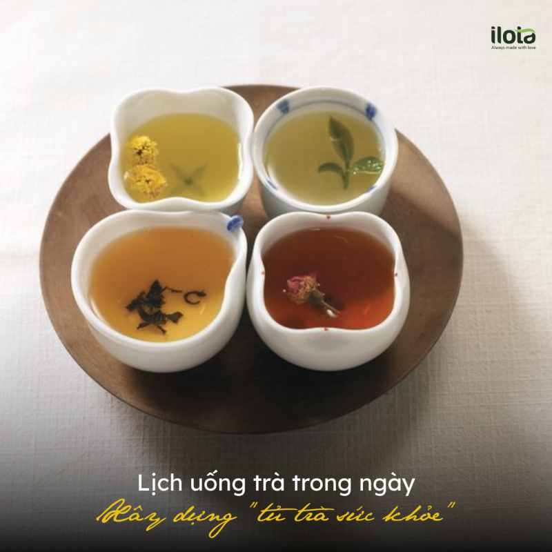 lich-uong-tra-trong-ngay-xay-dung-tu-tra-suc-khoe