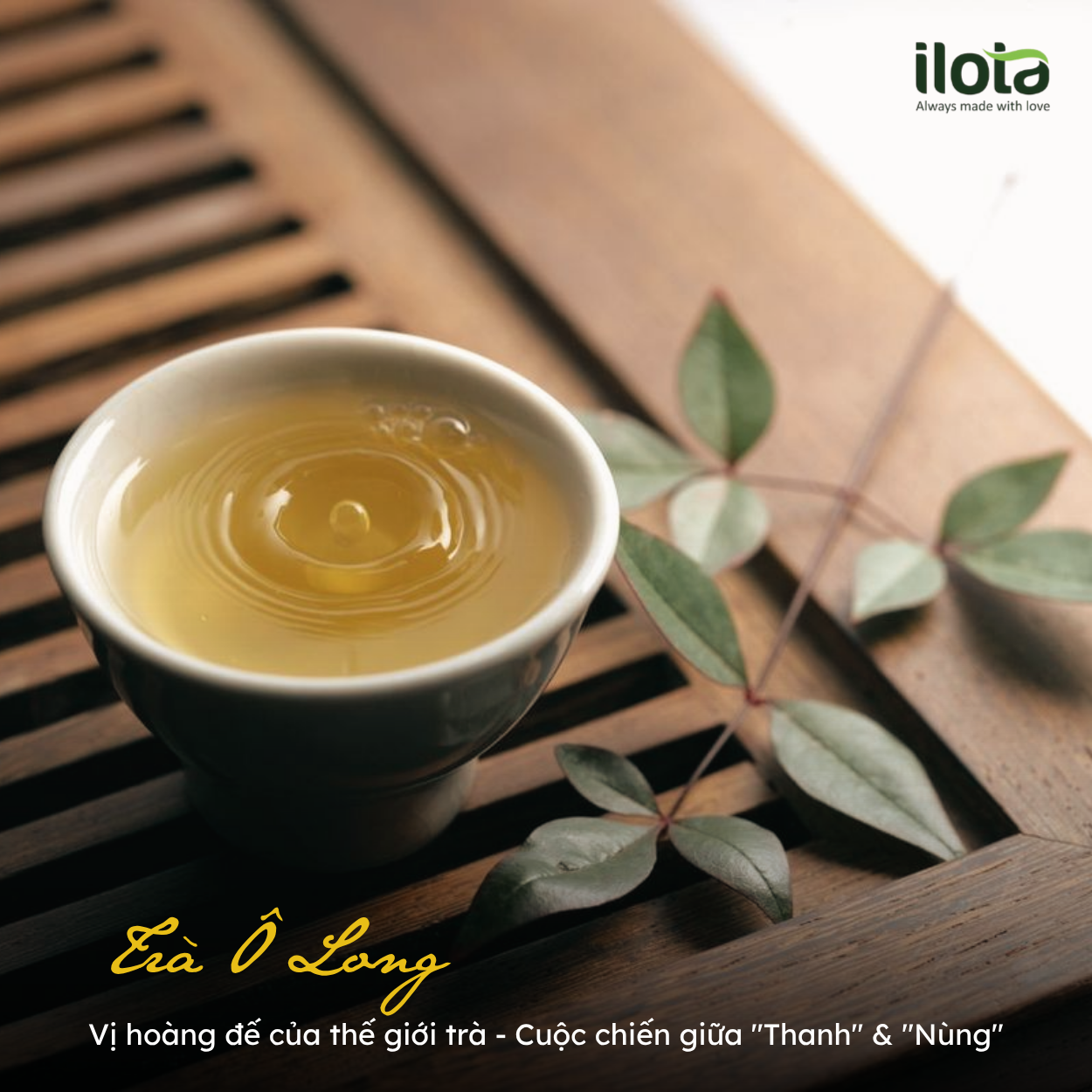 tra-o-long-vi-hoang-de-cua-the-gioi-tra-thanh-&-nung