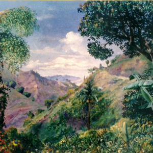 Jamaica-Blue-Mountain-huyen-thoai-dang-bi-lang-quen