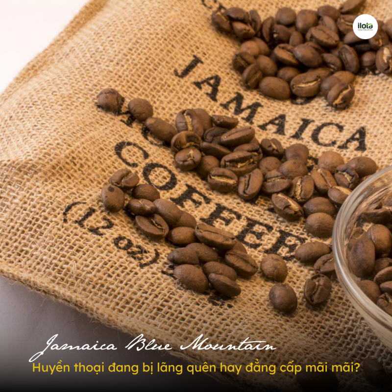 Jamaica-Blue-Mountain-huyen-thoai-dang-bi-lang-quen