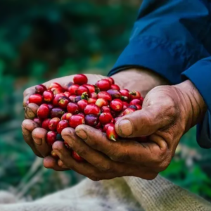 pink-bourbon-bourbon-hong-nang-tho-gioi-specialty