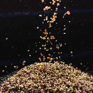 pink-bourbon-bourbon-hong-nang-tho-gioi-specialty