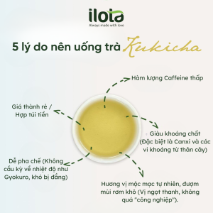 kukicha-tra-canh-nguoi-nhat-bien-phe-pham-ra-dac-san