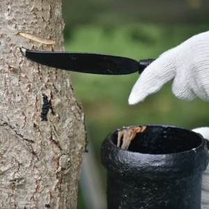 kintsugi-khi-vet-nut-tro-thanh-nghe-thuat