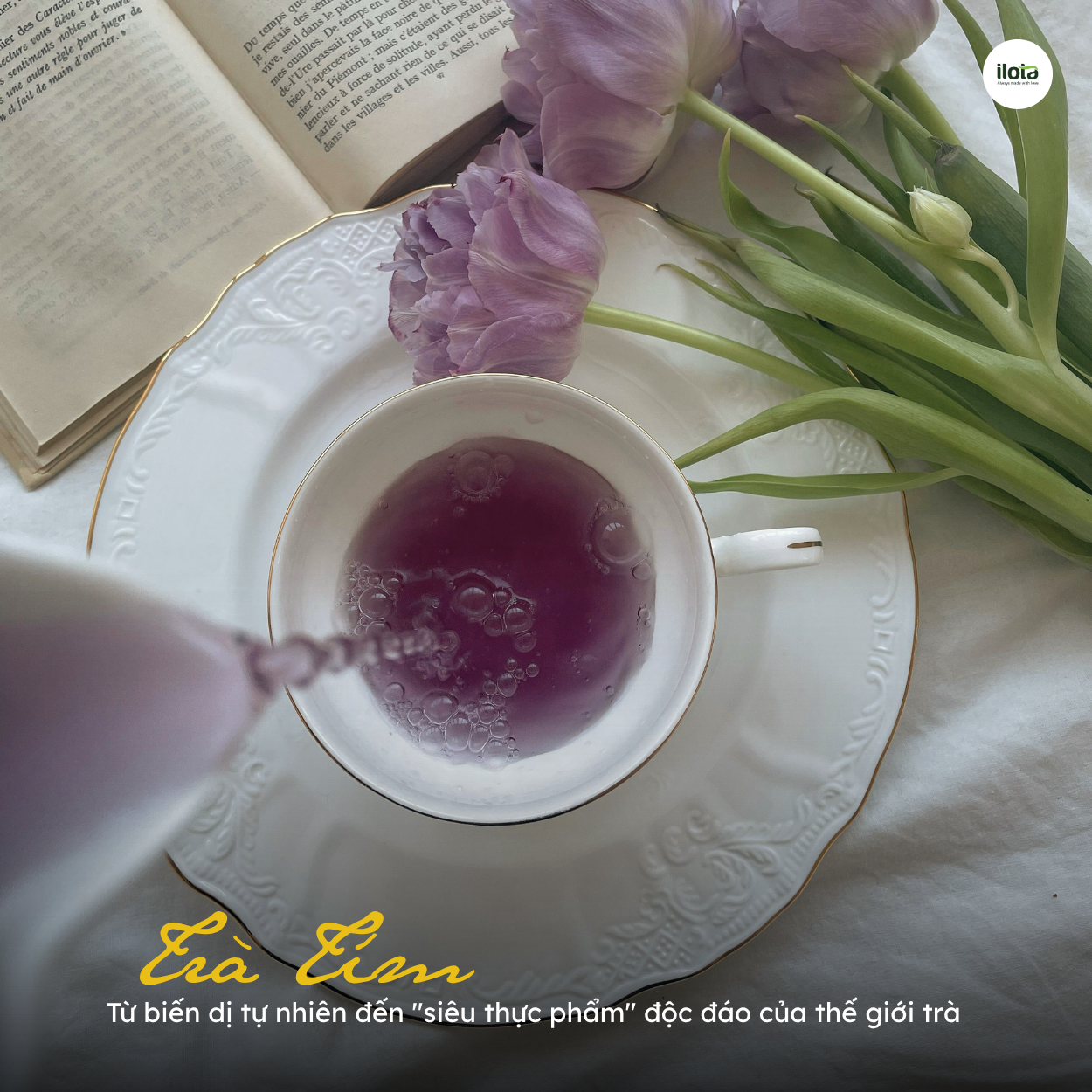 tra-tim-bien-di-tu-nhien-den-sieu-thuc-pham-tra