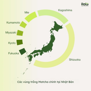 matcha-sieu-bot-khien-ca-the-gioi-me-man