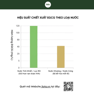 chon-nuoc-pha-tra-the-nao-de-co-am-tra-ngon