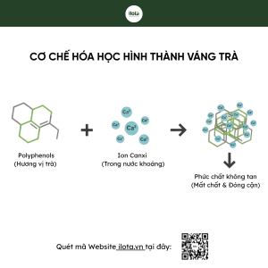 chon-nuoc-pha-tra-the-nao-de-co-am-tra-ngon