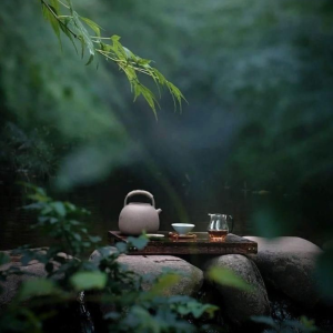 ba-truong-phai-thuong-tra-kinh-dien